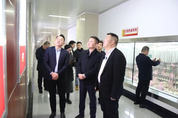 华英农业去年业绩转亏：双主业战略承压，重整四年业绩均未达目标