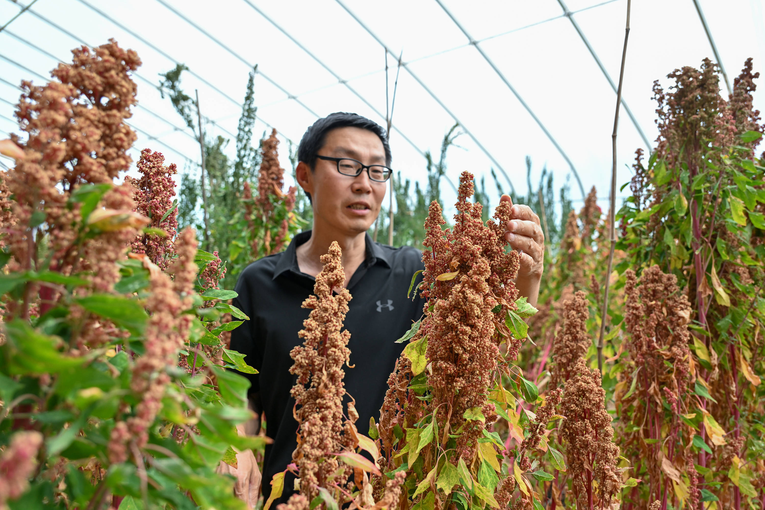 华英农业去年业绩转亏：双主业战略承压，重整四年业绩均未达目标