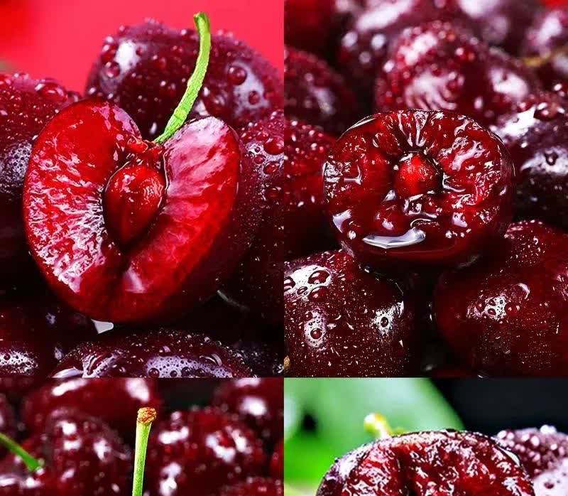 智利自由市场联合会:农产品价格或因燃料上涨最高达50%