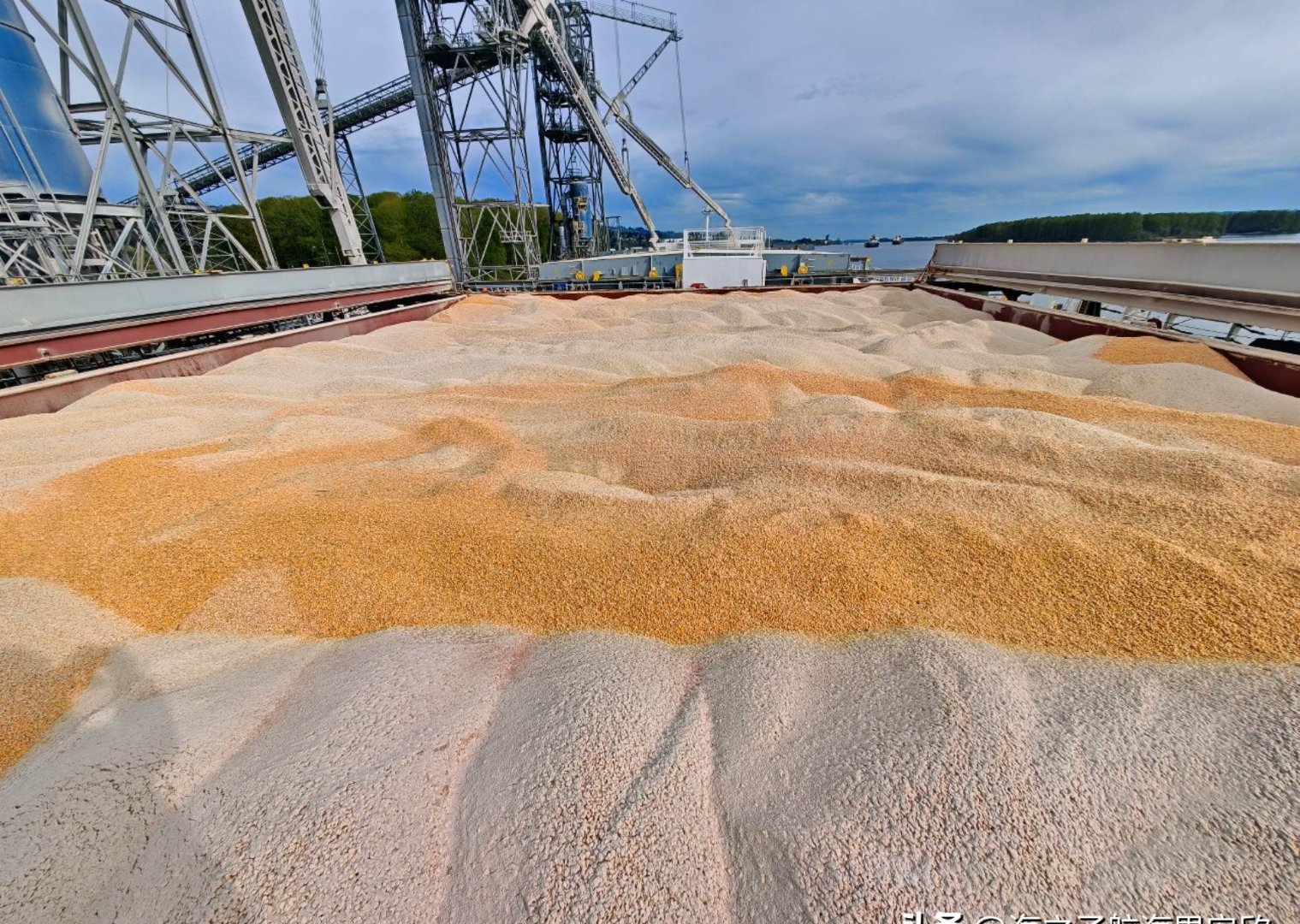 阿根廷本地大豆价格大幅下跌