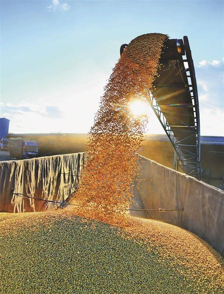 阿尔及利亚农业对GDP贡献持续提升