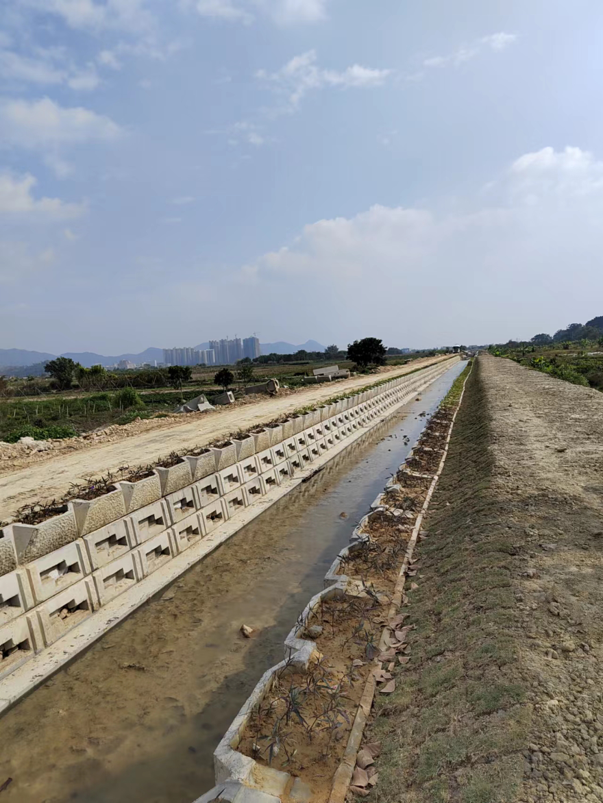 阿尔及利亚推进农业机械化 提升生产能力与粮食安全